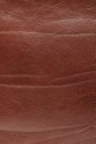 Raw brown leather surface Royalty Free Stock Photo