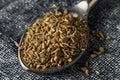 Raw Brown Organic  Ajwain Seed Royalty Free Stock Photo