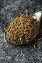 Raw Brown Organic  Ajwain Seed Royalty Free Stock Photo