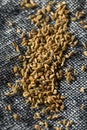 Raw Brown Organic  Ajwain Seed Royalty Free Stock Photo