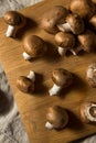Raw Brown Organic Baby Bella Mushrooms Royalty Free Stock Photo