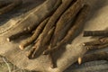 Raw Brown Organic Burdock Root Royalty Free Stock Photo