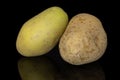 Raw brown potato isolated on black glass Royalty Free Stock Photo