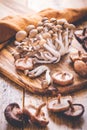 Raw brown shimeji mushrooms and shiitake on cutting board