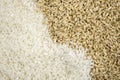 Raw brown and white rice separated Royalty Free Stock Photo