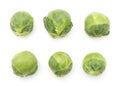 Raw Brussels sprout isolated Royalty Free Stock Photo
