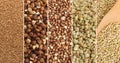 Raw Buckwheat Collage, Various Uncooked Pseudocereal Buck Wheat Royalty Free Stock Photo