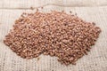 Raw buckwheat scattered on the sacking Royalty Free Stock Photo