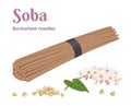 Raw buckwheat soba noodles, buckwheat grains and flowering plant isolated