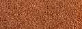 Raw Buckwheat Texture Background, Brown Grains Pattern, Pseudocereal Buck Wheat Mockup Royalty Free Stock Photo