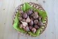 Raw bulbs of tassel hyacinth