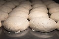 Raw burger buns dough on a metal baking sheet. Preparing ingredients for burgers Royalty Free Stock Photo