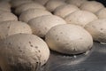 Raw burger buns dough on a metal baking sheet. Preparing ingredients for burgers Royalty Free Stock Photo