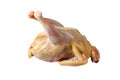 Raw butchered chicken for cooking on a white background. Royalty Free Stock Photo