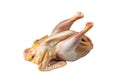 Raw butchered chicken for cooking on a white background. Royalty Free Stock Photo