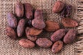 Raw cacao beans over canvas background Royalty Free Stock Photo