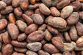 Raw cacao cocoa beans