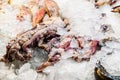 Raw calamari and octopuses for sale at the fish market