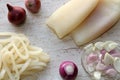 Raw calamary and onion Royalty Free Stock Photo