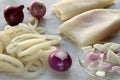 Raw calamary and onion Royalty Free Stock Photo