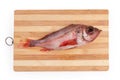 Raw carcass of redfish on the wooden cutting board