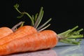 Raw carrot detail Royalty Free Stock Photo