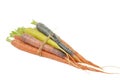 Raw carrots with different colors Royalty Free Stock Photo