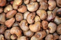 Raw Cashew Nuts Royalty Free Stock Photo