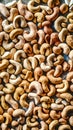 Raw Cashews Large Quantity on Smooth Surface