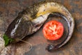 Raw catfish on an old table. Close-up. Top view Royalty Free Stock Photo