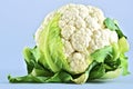 Raw Cauliflower Royalty Free Stock Photo