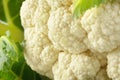 Raw cauliflower Royalty Free Stock Photo