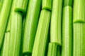 Raw Celery sticks background. healthy vegetable food Royalty Free Stock Photo