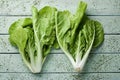 Raw chard leaves on pale green table