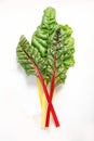 Raw chard on light background Royalty Free Stock Photo