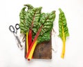 Raw chard on light background Royalty Free Stock Photo