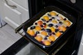 Raw cherry, apricots, plums pie on a baking sheet in the oven Royalty Free Stock Photo