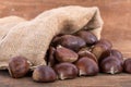 Raw chestnuts with burlap Royalty Free Stock Photo