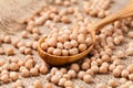 Raw chick peas organic vegetarian nutrition super Royalty Free Stock Photo