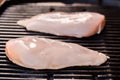 Raw chicken breast fillets on BBQ or grill Royalty Free Stock Photo
