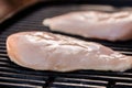 Raw chicken breast fillets on BBQ or grill Royalty Free Stock Photo