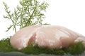Raw chicken breast fillets Royalty Free Stock Photo