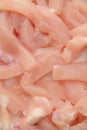 Raw chicken breast meat Royalty Free Stock Photo