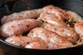 Raw chicken breast mini fillets in rastic cast iron skillet, frying pan with herbs and sea salt Royalty Free Stock Photo