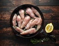 Raw chicken breast mini fillets in rastic cast iron skillet, frying pan with herbs and sea salt Royalty Free Stock Photo