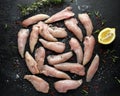 Raw chicken breast mini fillets in rastic cast iron skillet, frying pan with herbs and sea salt Royalty Free Stock Photo