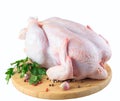 Raw chicken carcass on the cutting board isolated on white background.