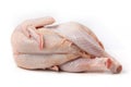 Raw chicken carcass isolated on a white background. Close-up