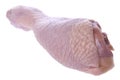 Raw Chicken Drumstick Royalty Free Stock Photo