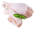 Raw chicken drumstick isolated on white background Royalty Free Stock Photo